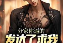 哪里能找到分家你逼的,发达了求我养老干什么小说的最新更新和免费章节?-美文小说