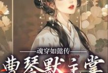 魂穿如懿传,曹琴默主掌后宫大权曹琴默,魂穿如懿传,曹琴默主掌后宫大权章节在线阅读-美文小说