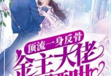 完结版《顶流一身反骨,金主大佬缠腰哄》在线免费阅读-美文小说