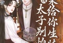 小说《系统:太子别怕,我来给你生娃了》章节免费阅读-美文小说