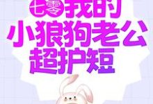 七零:我的小狼狗老公超护短陆西橙霍竞川在线章节免费阅读-美文小说