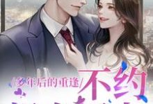 多年后的重逢,不约,姐有男友小说的无弹窗阅读体验,寻找免费阅读网站-美文小说