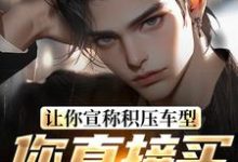 让你宣称积压车型,你直接买脱销?苏晨小说在线章节免费阅读-美文小说