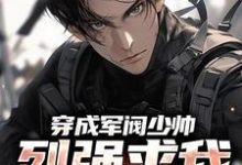 穿成军阀少帅,列强求我别扩军了小说,穿成军阀少帅,列强求我别扩军了最新章节-美文小说