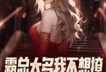 霸总太多我不想撩,唯爱女主才最棒小说全文阅读需要付费吗?寻找免费资源-美文小说