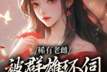 稀有老雌被群雄环伺,被迫生子小说的免费电子版在哪里可以下载或阅读?-美文小说