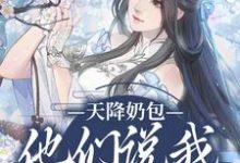 天降奶包，他们说我是太后命小说，天降奶包，他们说我是太后命免费阅读-美文小说