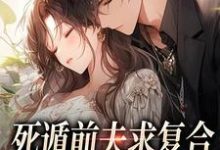 死遁前夫求复合，再婚老公红了眼小说的免费电子版在哪里可以下载或阅读？-美文小说