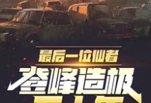 小说《最后一位仙者,登峰造极五十年》在线章节阅读-美文小说