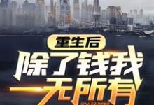 魏渊魏诗雨小说叫什么(重生后,除了钱我一无所有免费阅读)-美文小说