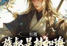 已完结小说《红楼:族叔是林如海,在线当大佬》章节在线阅读-美文小说