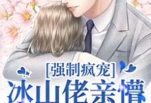 小说《强制疯宠,冰山佬亲懵娇软野玫瑰》章节免费阅读-美文小说