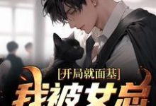开局就面基,我被女总裁甩了叶青宋瑾瑶,开局就面基,我被女总裁甩了章节在线阅读-美文小说