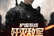 护国系统:歼灭敌军我一拳就搞定章节免费在线阅读,楚峰完结版-美文小说