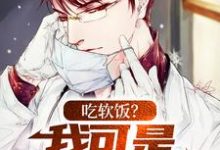 完结版《吃软饭？我可是千古医圣》免费阅读-美文小说