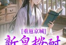 重返京城，新皇按耐不住了！这本小说怎么样？免费在线阅读试试-美文小说