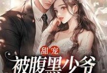 甜宠:被腹黑少爷藏起来的娇宝小说的免费电子版在哪里可以下载或阅读?-美文小说