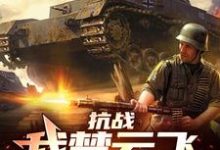 抗战:我楚云飞,晋军元帅这本小说怎么样?免费在线阅读试试-美文小说