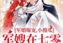 求军婚爆宠,小傻瓜军嫂在七零赢麻了小说的全文免费阅读链接-美文小说