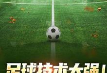 足球技术太强!我,控场球王这本小说怎么样?免费在线阅读试试-美文小说