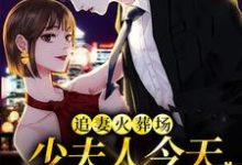 追妻火葬场:少夫人今天又硬气了小说,追妻火葬场:少夫人今天又硬气了免费阅读-美文小说