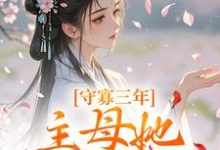 守寡三年，主母她一夜有喜沈溪苓萧泽晟在线章节免费阅读-美文小说