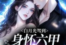 俞禧悦封景澈小说在线章节免费阅读(白月光驾到身怀六甲,京圈炸燃了无弹窗无删减)-美文小说