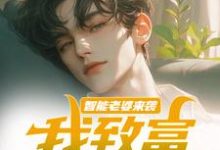 智能老婆来袭,我致富全靠躺苏富夏李紫苏,智能老婆来袭,我致富全靠躺在线无弹窗阅读-美文小说