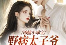 寻找诱捕小乖宝，野痞太子爷强势攻陷小说的最新更新章节-美文小说