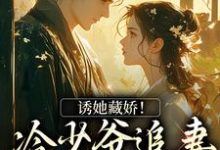 寻找诱她藏娇！冷少爷追妻蓄谋已久小说的最新更新章节-美文小说