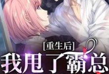 重生后，我甩了霸总享单身夜这本小说怎么样？免费在线阅读试试-美文小说