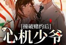 撞破赌约后,心机少爷缠上我顾肆一武云云,撞破赌约后,心机少爷缠上我章节在线阅读-美文小说