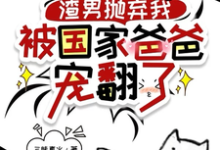 渣男抛弃我，被国家爸爸宠翻了小说，渣男抛弃我，被国家爸爸宠翻了龙沅沅-美文小说