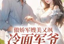 傲娇军嫂美又飒,冷面军爷被拿捏(岑婧怡顾延卿)在线免费阅读-美文小说