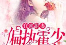 在逃甜妻:偏执霍少放肆宠苏绵绵霍司衍,在逃甜妻:偏执霍少放肆宠章节在线阅读-美文小说