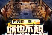 完结版《四合院:秦,你也不想棒梗进牢吧》章节阅读-美文小说