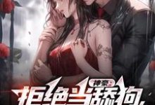 神豪:拒绝当舔狗,我要做渣男陈泽,神豪:拒绝当舔狗,我要做渣男在线无弹窗阅读-美文小说