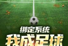 绑定系统:我成足球小飞人小说,绑定系统:我成足球小飞人章节在线阅读-美文小说