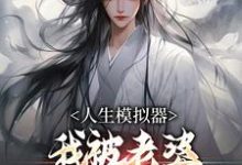 人生模拟器:我被老婆逼成世间极境小说免费资源,人生模拟器:我被老婆逼成世间极境在线阅读-美文小说