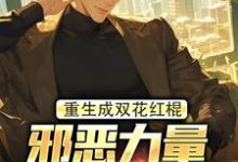 求重生成双花红棍,邪恶力量颤抖吧!小说的全文免费阅读链接-美文小说