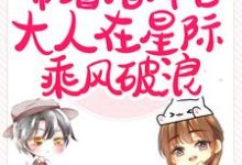 黎泽贺星决小说闪婚后，带着指挥官大人在星际乘风破浪在线阅读章节-美文小说