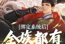 绑定系统后，全族都有我的子嗣夜冥，绑定系统后，全族都有我的子嗣在线无弹窗阅读-美文小说