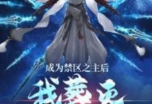 成为禁区之主后,我葬灭万古诸天小说全文阅读需要付费吗?寻找免费资源-美文小说