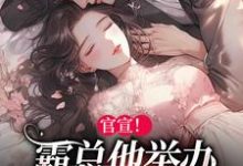 纪宁鸢容屿小说官宣！霸总他举办全球巡回婚礼章节免费阅读-美文小说