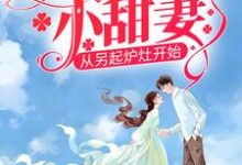 哪里能找到八零娇娇小甜妻,从另起炉灶开始小说的最新更新和免费章节?-美文小说