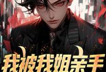 我被我姐亲手送进夜总会王大力，我被我姐亲手送进夜总会在线无弹窗阅读-美文小说