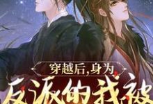 穿越后,身为反派的我被王爷独宠了小说完结了吗?在哪里可以免费读到?-美文小说