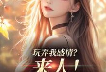 小说《玩弄我感情?来人!给我往死虐》章节阅读-美文小说