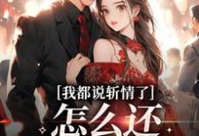 完结版《我都说斩情了,怎么还让我相亲》章节目录在线阅读-美文小说