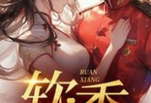 不是大哥,你兜这大一圈就为娶我杨采薇杨宗宪
,不是大哥,你兜这大一圈就为娶我在线无弹窗阅读-美文小说